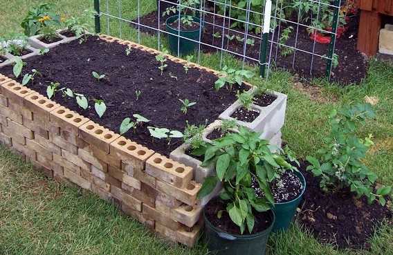 Brick-raised-garden-bed-e1447761020121.jpg